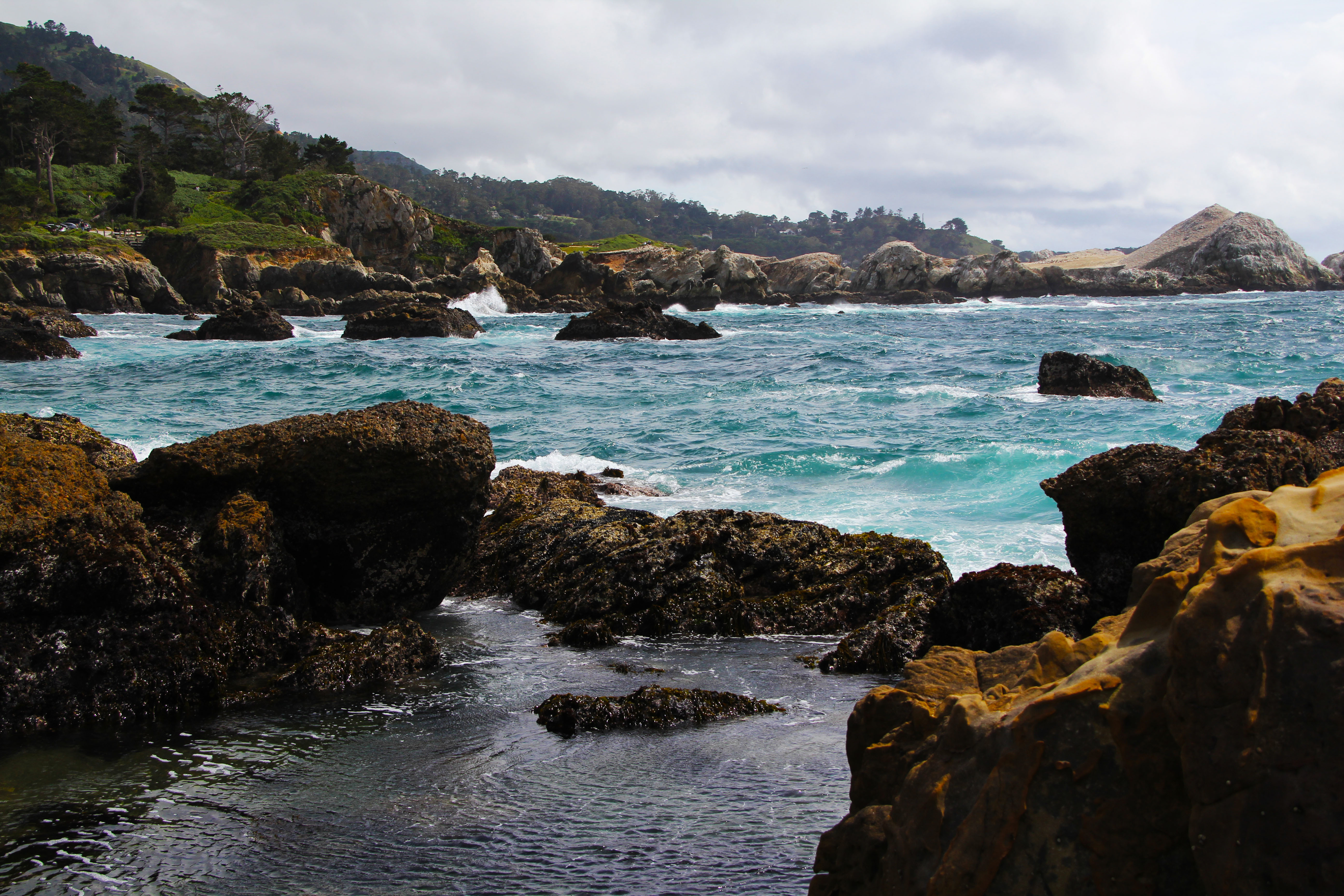 Where the Land Argues with the Sea