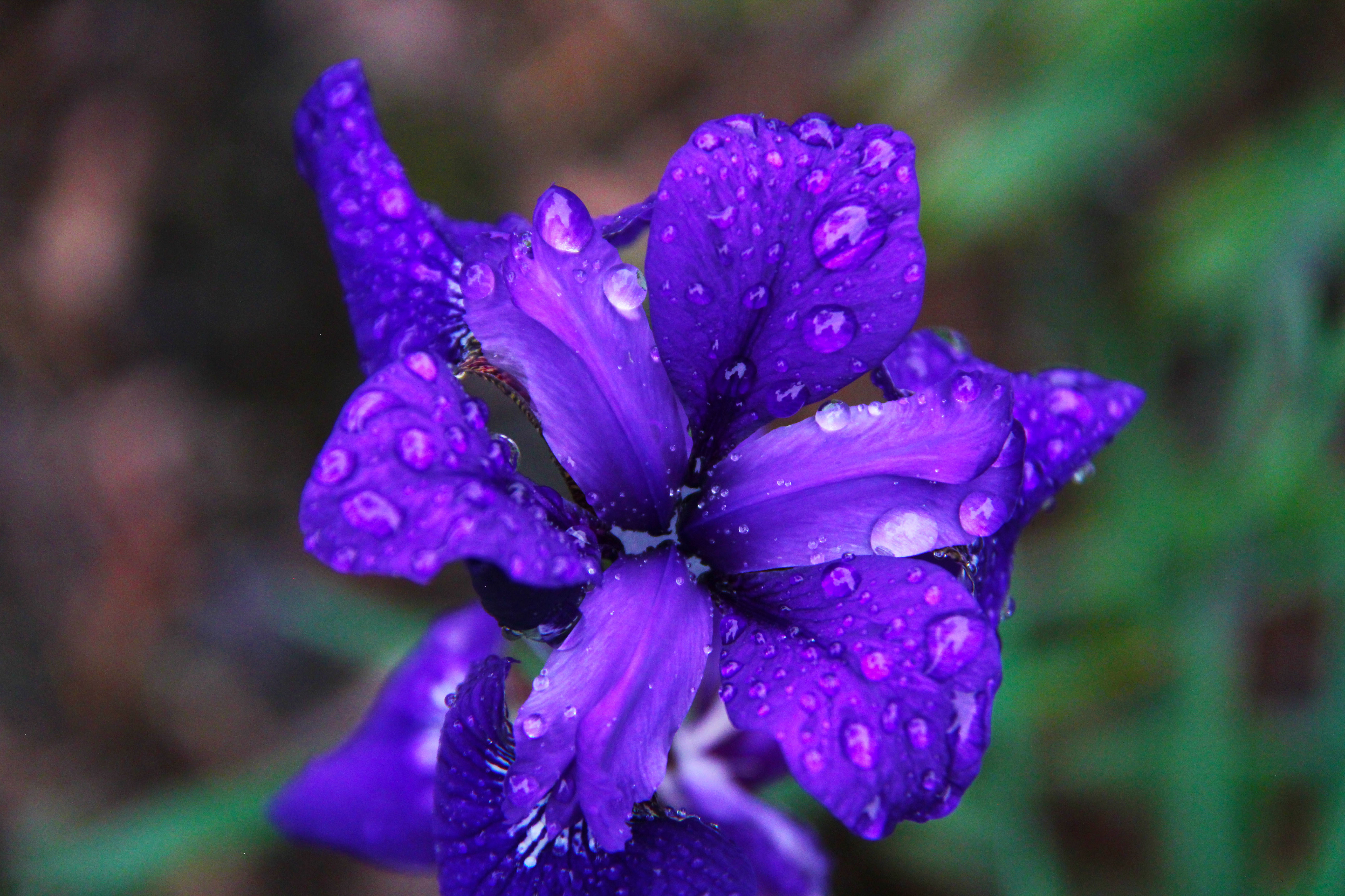 After the Rain