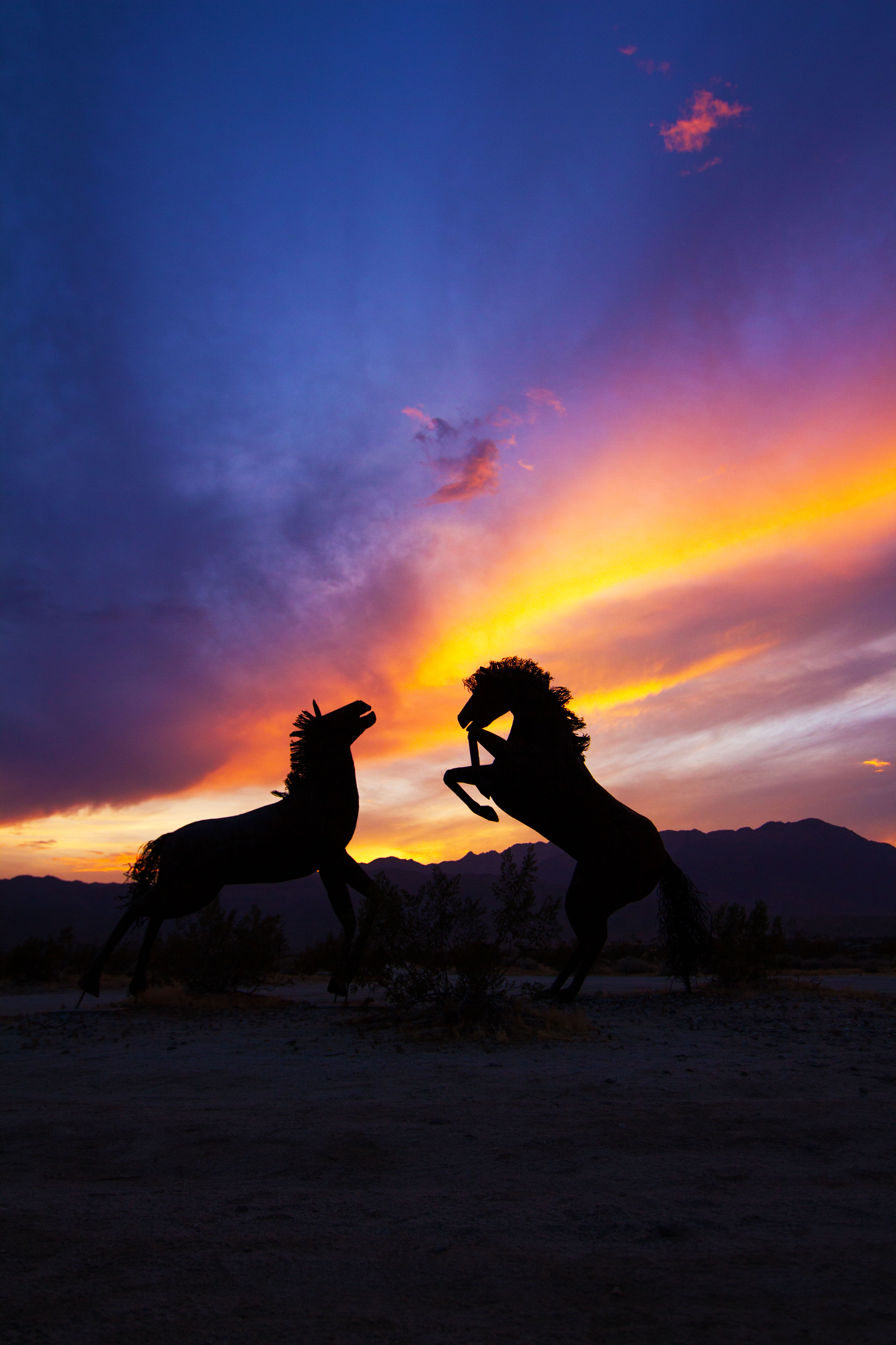 Wild Horses Can’t be Tamed