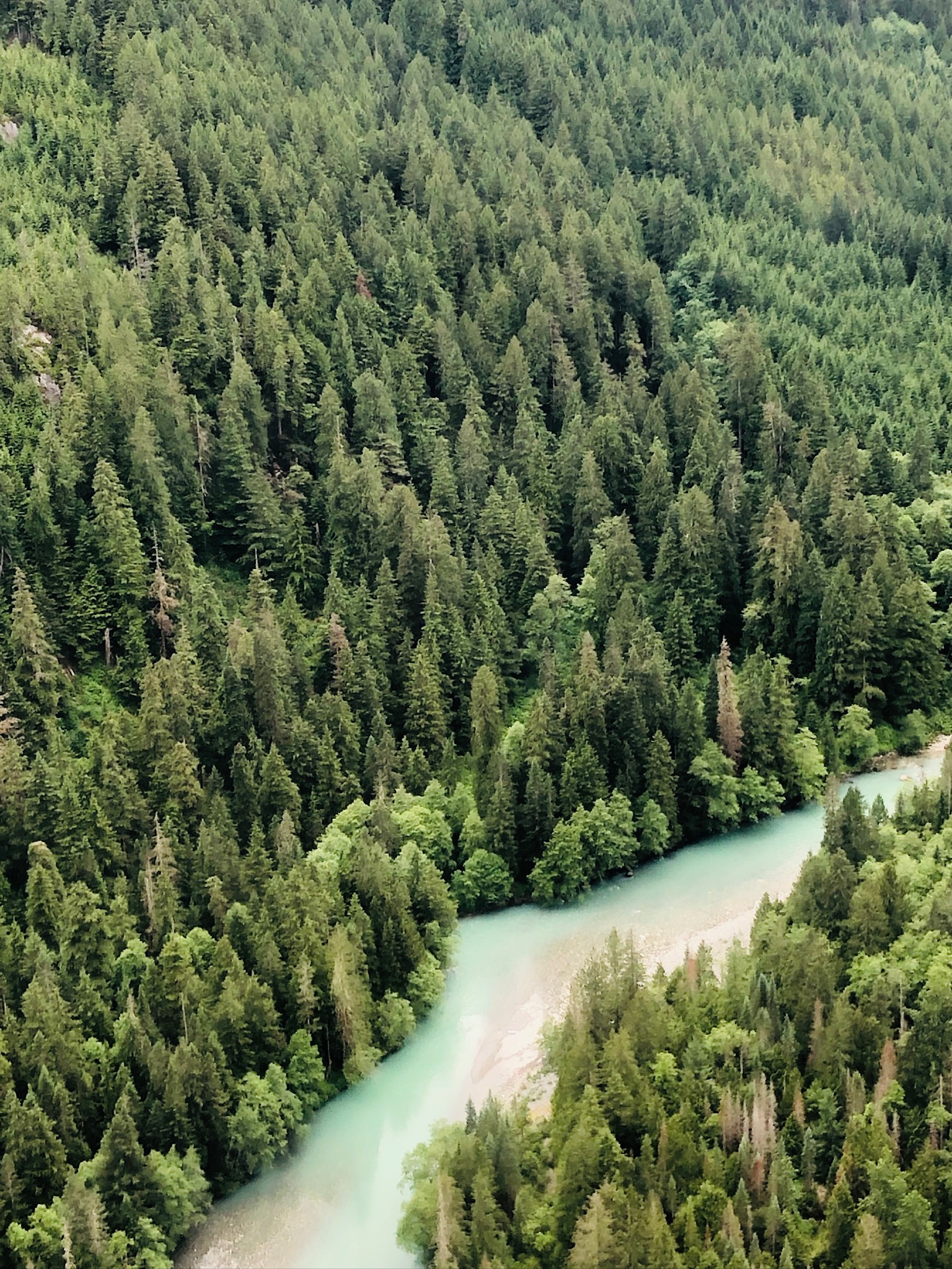 A river runs through it