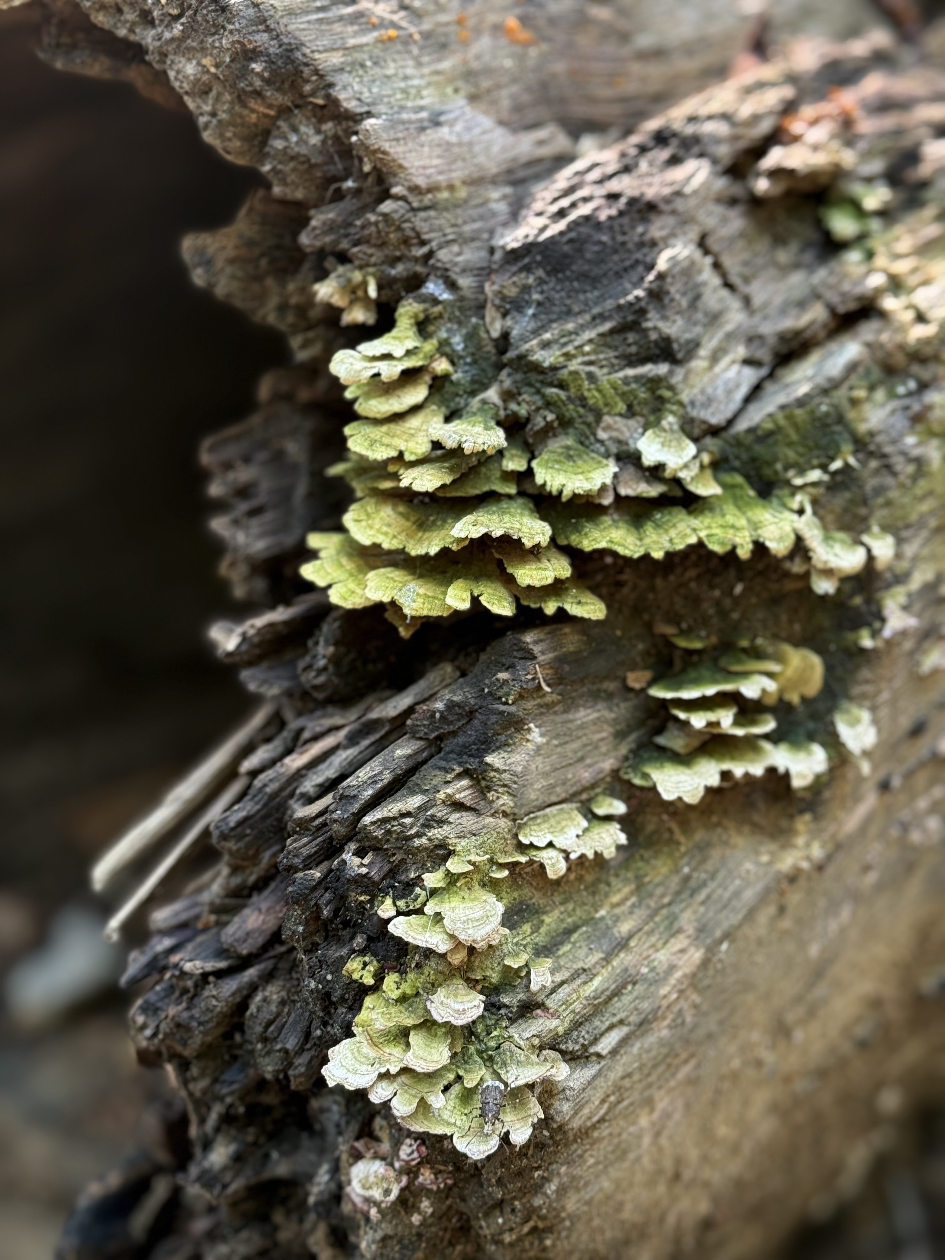 New signs of life